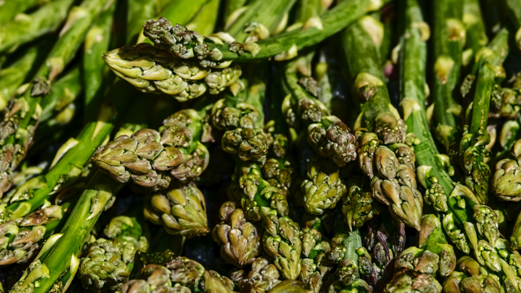 Asparagus grown with our Crop Booster - asparagus yield