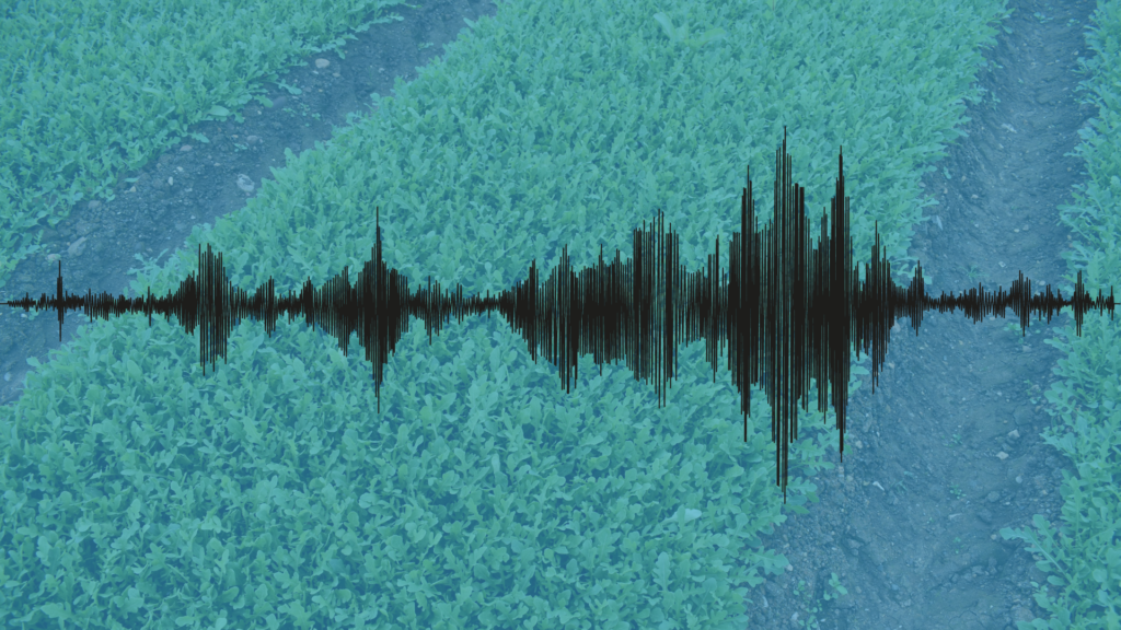 Plants and Sound waves through the crops from Plant Booster