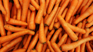 Boosted Carrot crops yield with LiveFarmer technologies