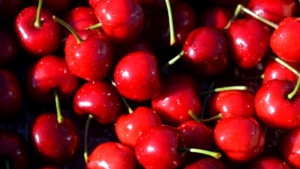 cherry trees grown with KYMINASI PLANTS Crop Booster