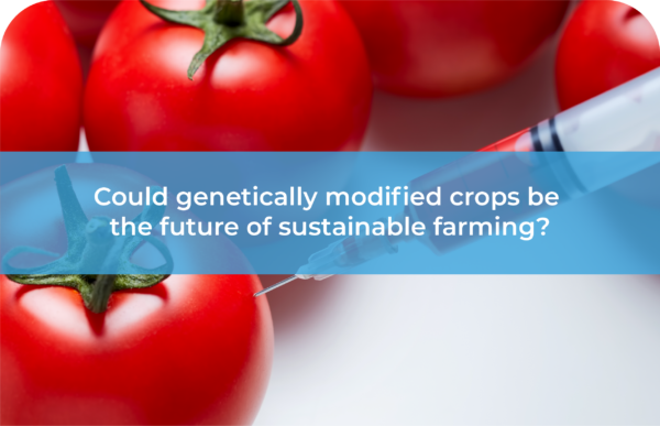 GM crops - Could genetically modified crops be the future of sustainable farming