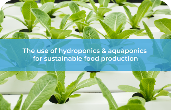 The use of hydroponics, aquaponics, and other innovative methods for sustainable food production