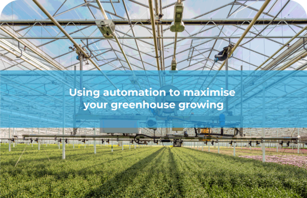 Using automation to maximise your greenhouse growing