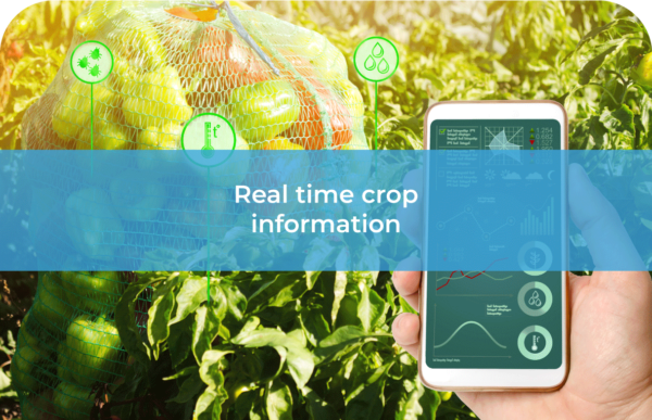 crop monitoring - crop report - real time farm tracking