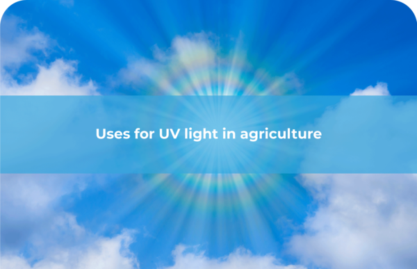UV Light Farming