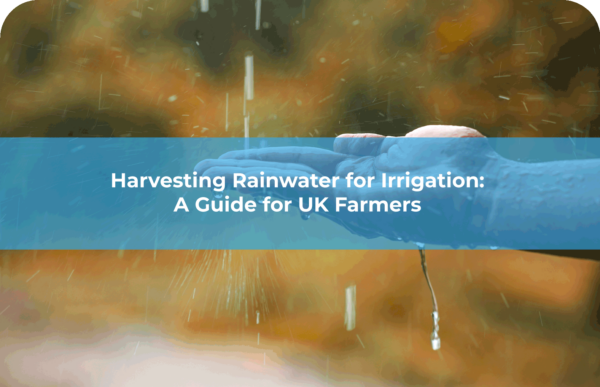 Harvesting Rainwater for Irrigation: A Guide for UK Farmers