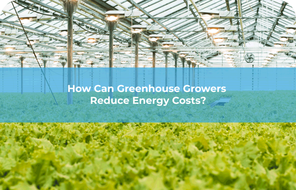 How-Can-Greenhouse-Growers-Reduce-Energy-Costs