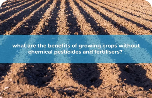 Organic arable farming what are the benefits of growing crops without chemical pesticides and fertilisers