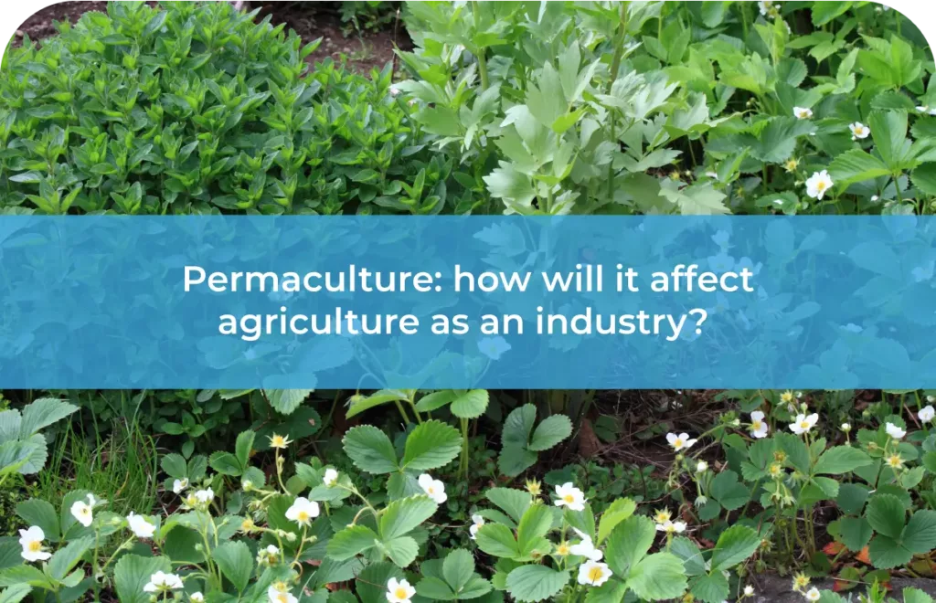 Permaculture how will it affect agriculture as an industry