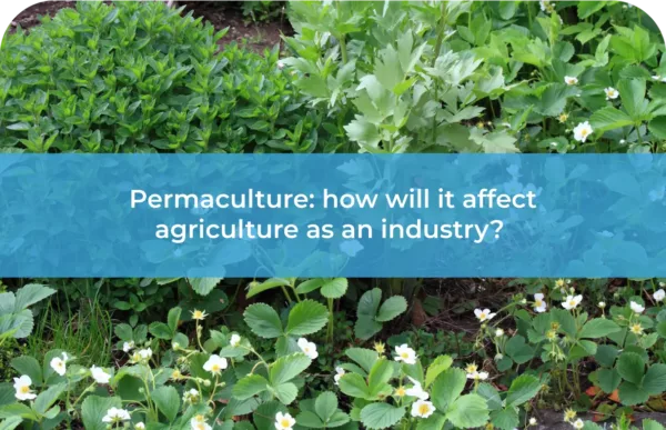 Permaculture how will it affect agriculture as an industry
