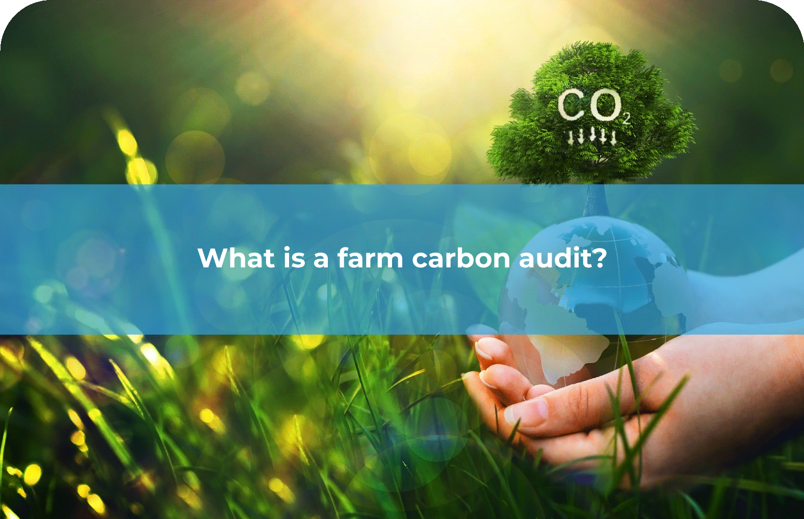 what-is-a-farm-carbon-audit-livefarmer-uk