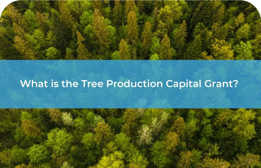 tree production capital grant