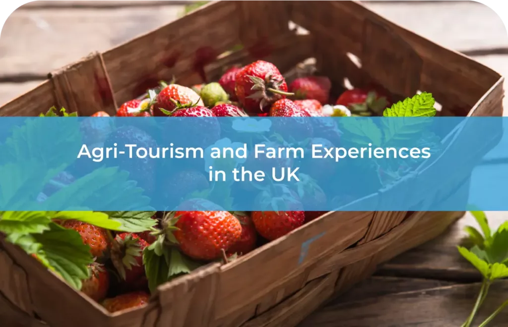 Agri-Tourism and Farm Experiences in the UK Boosting Rural Tourism and Farm Diversification