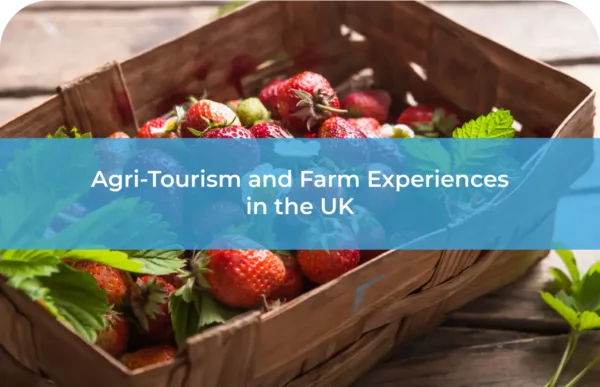 Agri-Tourism and Farm Experiences in the UK Boosting Rural Tourism and Farm Diversification