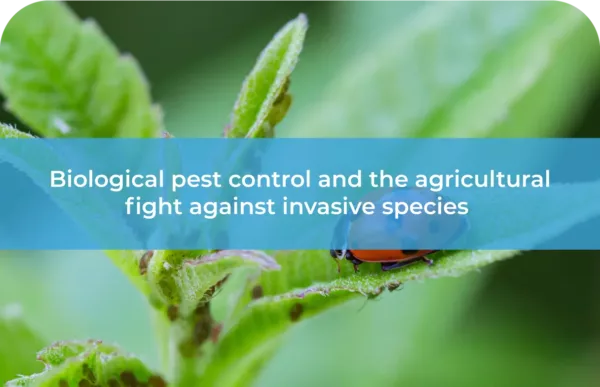 Biological pest control and the agricultural fight against invasive species