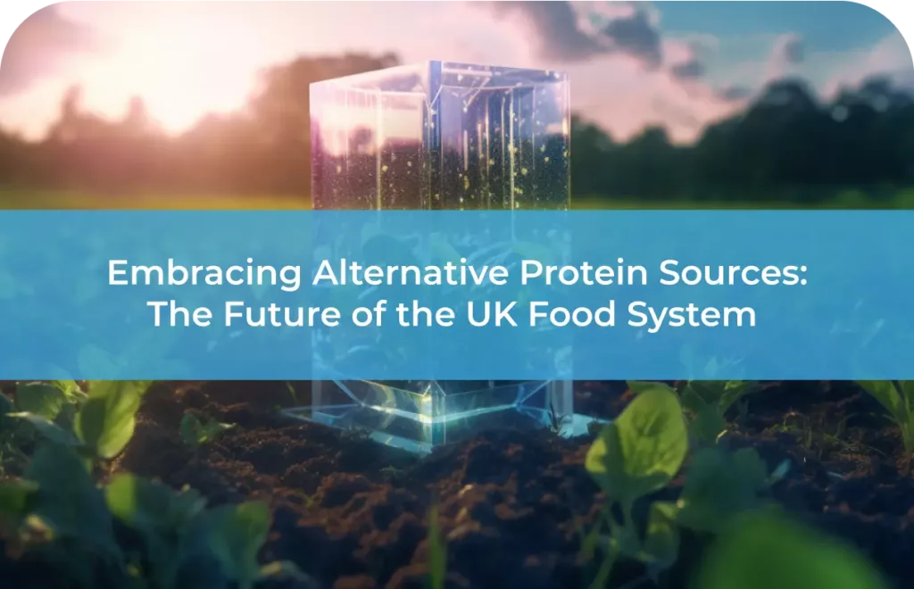 Embracing Alternative Protein Sources: The Future of the UK Food System