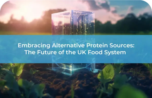 Embracing Alternative Protein Sources: The Future of the UK Food System