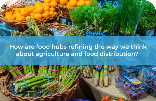 How are food hubs refining the way we think about agriculture and food distribution