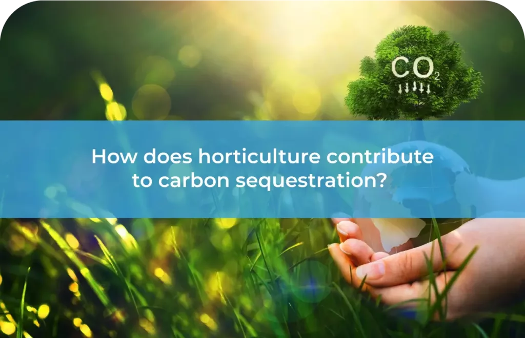 How does horticulture contribute to carbon sequestration