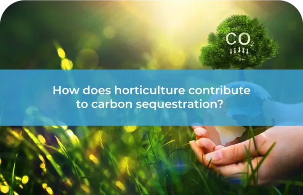 How does horticulture contribute to carbon sequestration