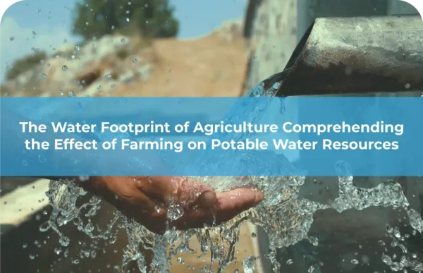 The Water Footprint of Agriculture Comprehending the Effect of Farming on Potable Water Resources