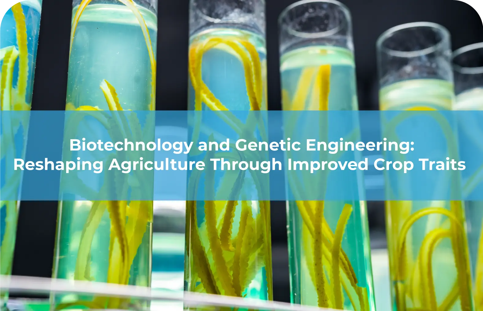 Biotechnology and Genetic Engineering