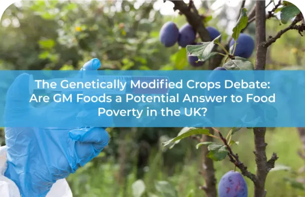 The Genetically Modified Crops Debate Are GM Foods a Potential Answer to Food Poverty in the UK