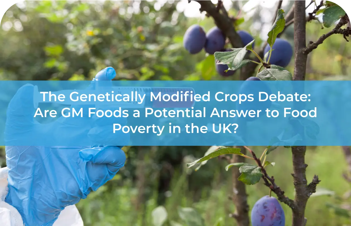 Genetically Modified Crops Debate Gm Crops And Food Poverty