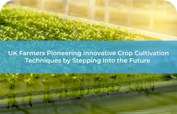 UK Farmers Pioneering Innovative Crop Cultivation Techniques by Stepping Into the Future