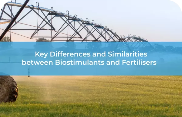 Understanding the Key Differences and Similarities between Biostimulants and Fertilisers