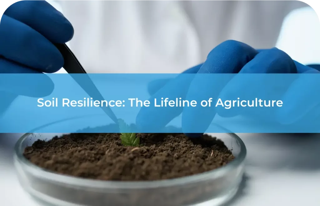 Soil Resilience The Lifeline of Agriculture 