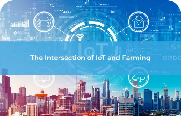The Intersection of IoT and Farming​