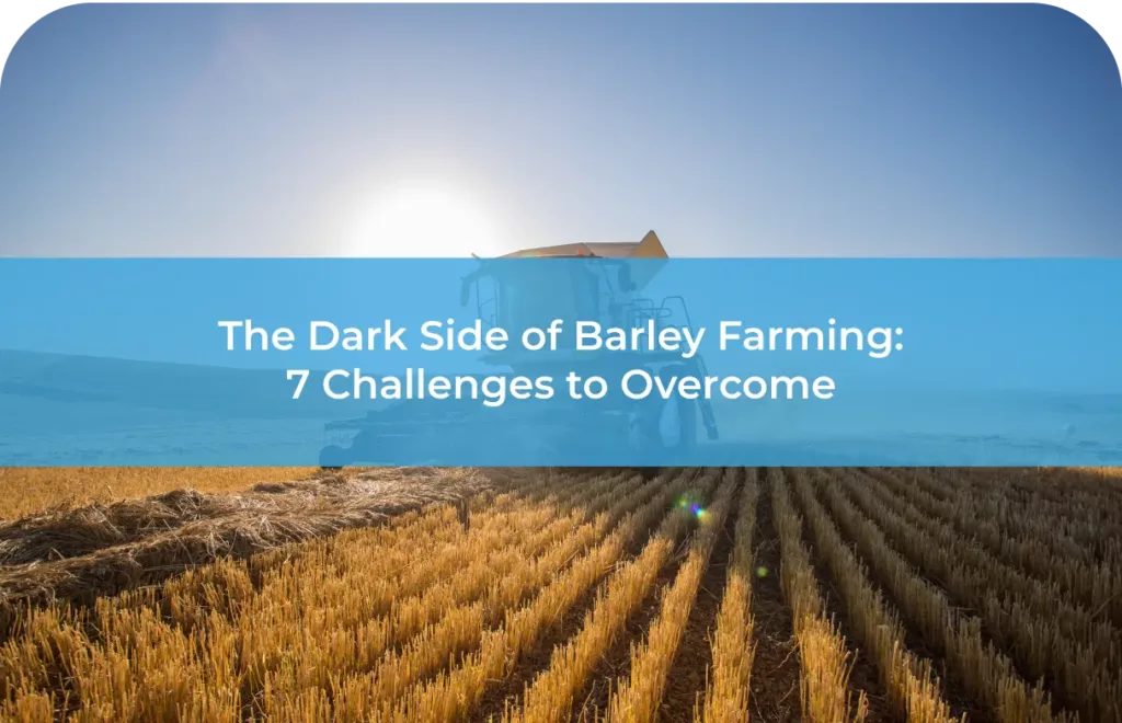 The Dark Side of Barley Farming 7 Challenges to Overcome 