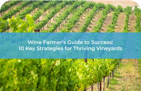 Wine Farmers Guide to Success 10 Key Strategies for Thriving Vineyards