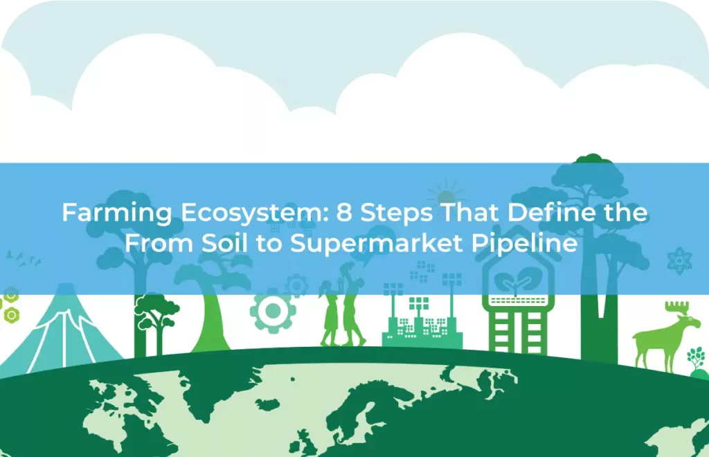 Farming Ecosystem 8 Steps That Define the From Soil to Supermarket Pipeline 