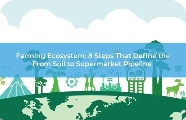 Farming Ecosystem 8 Steps That Define the From Soil to Supermarket Pipeline 