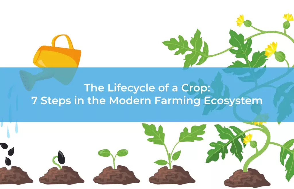 The Lifecycle of a Crop 7 Steps in the Modern Farming Ecosystem