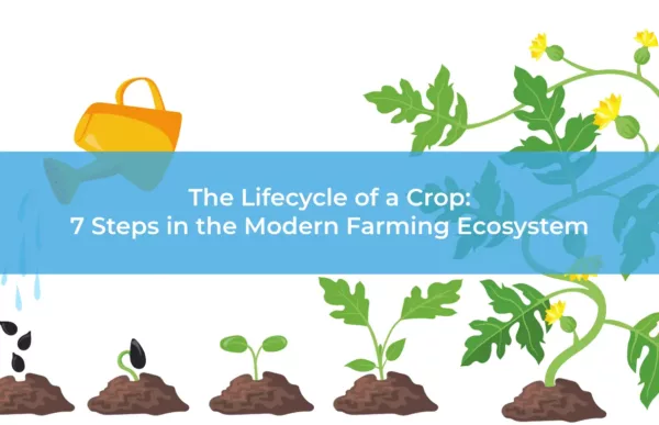 The Lifecycle of a Crop 7 Steps in the Modern Farming Ecosystem