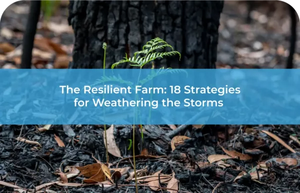 18 resilience Strategy for Weathering the Storms
