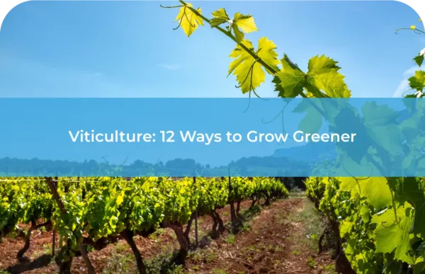 Viticulture 12 Ways to Grow Greener