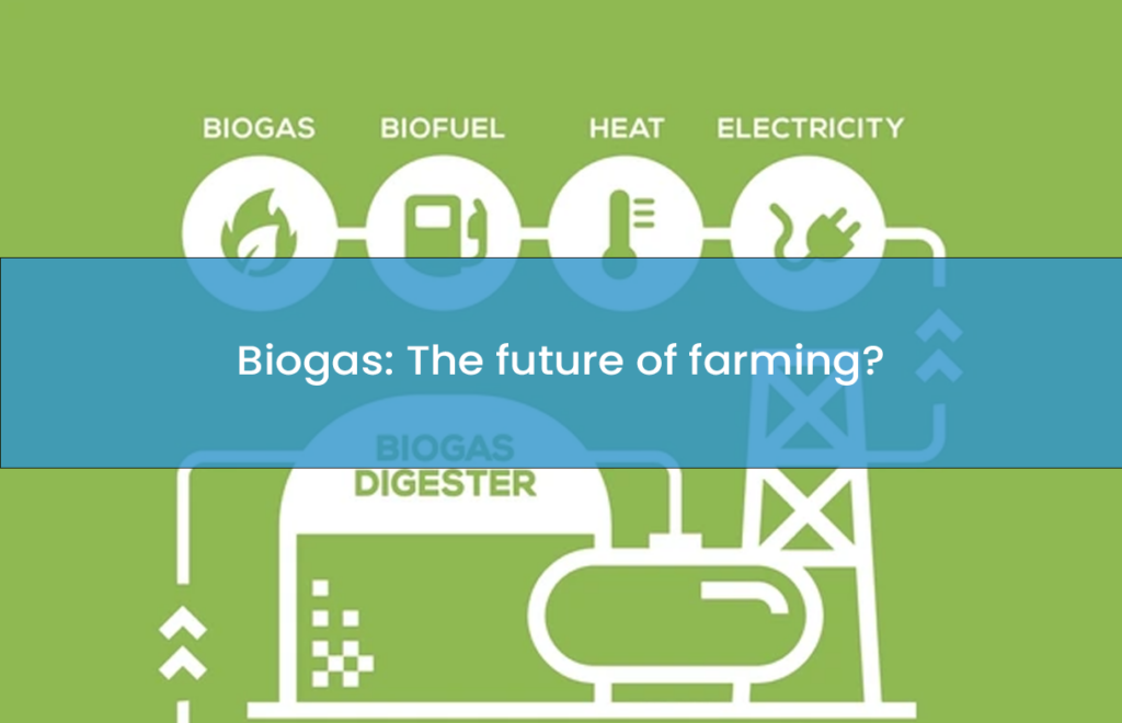 Biogas